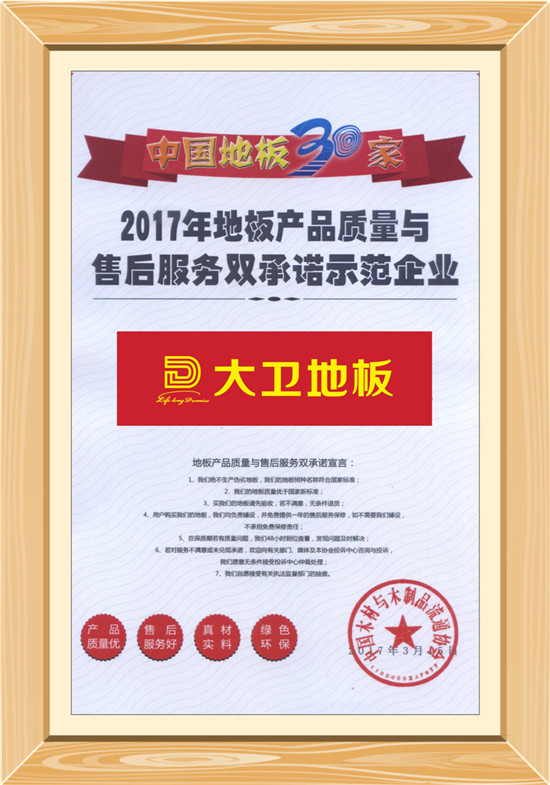 星空xingkong(中国)地板荣获“地板产品质量与售后服务双承诺示范企业”.jpg