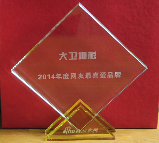 星空xingkong(中国)地板被授予“2014年度网友最喜爱品牌”殊荣.jpg