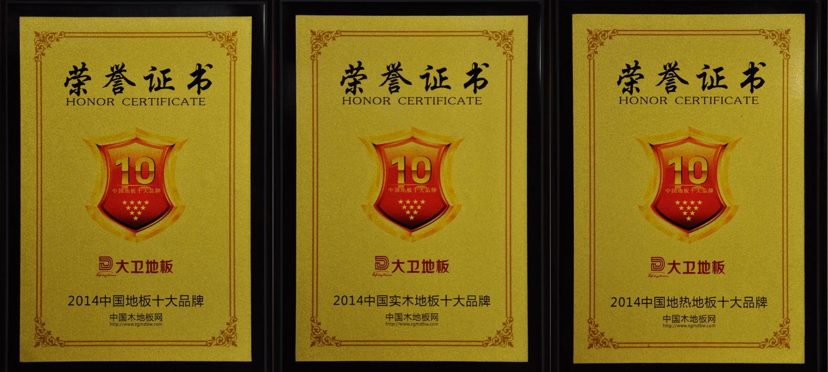 中国地板十大品牌星空xingkong(中国)地板斩获3项荣誉(1).jpg